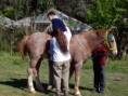 /album/fotogaleria/equino-la-catal-011-jpg/